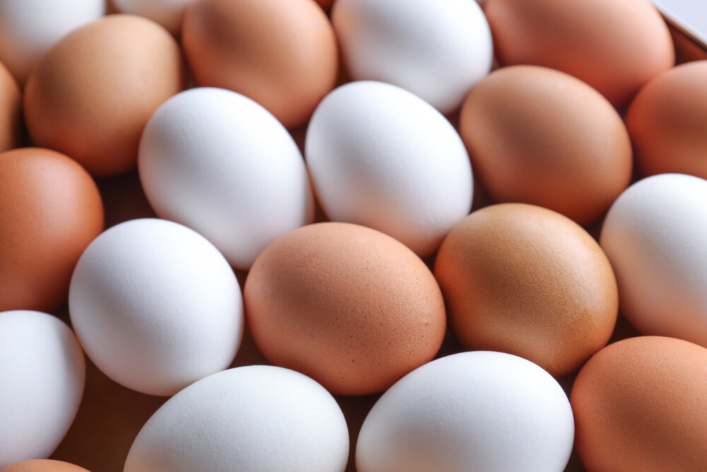 traditional brown and white eggs