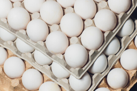 employee benefits - weekly free eggs for employees at National Food NW