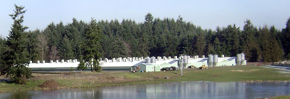 National Food NW egg farms in Washington